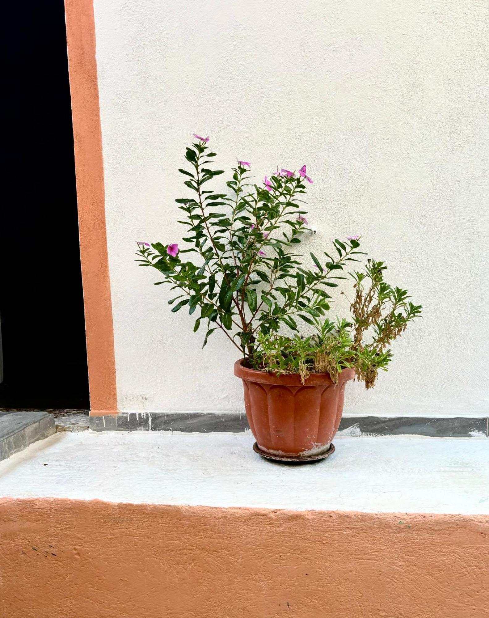 Traditional Corfiot House Perivólion 外观 照片