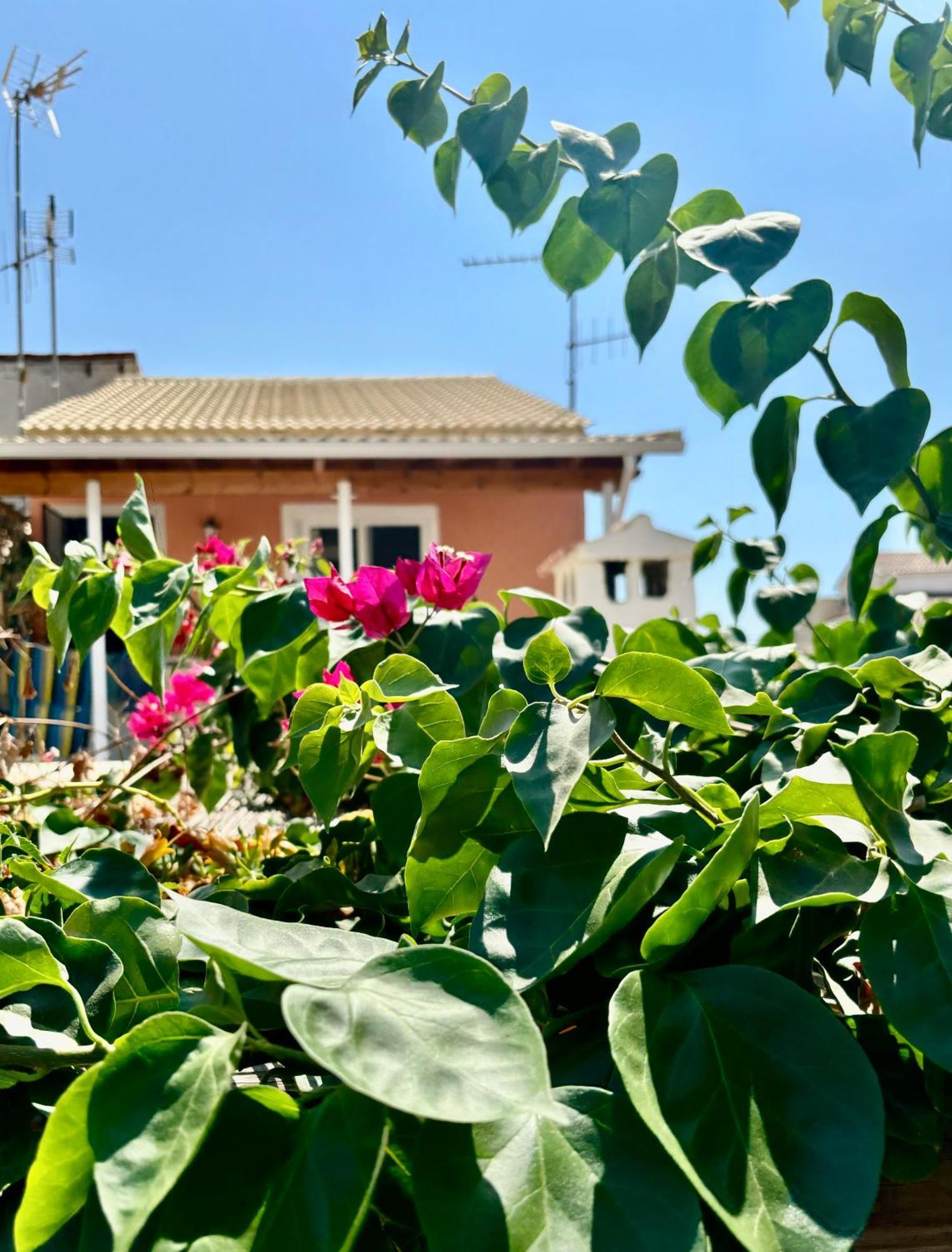 Traditional Corfiot House Perivólion 外观 照片